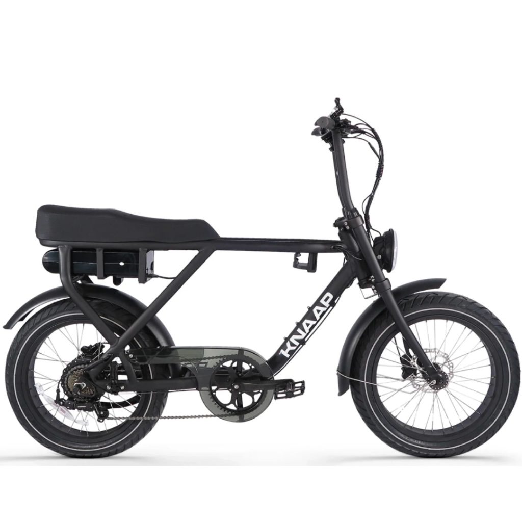 elektro fatbike
